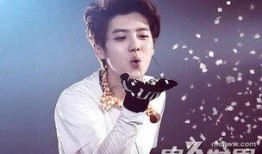 台湾爆料鹿晗事件视频,真相与争议交织